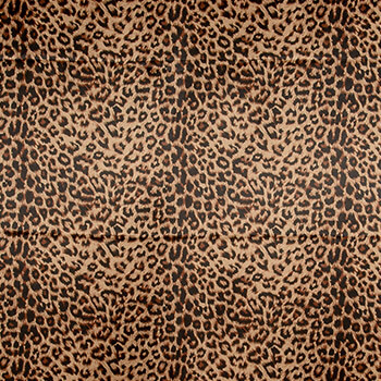 Leopard Braun